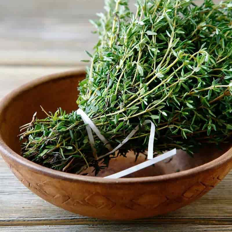 تصویر 2 از آویشن کوهی تازه با برگ های سبز و معطر